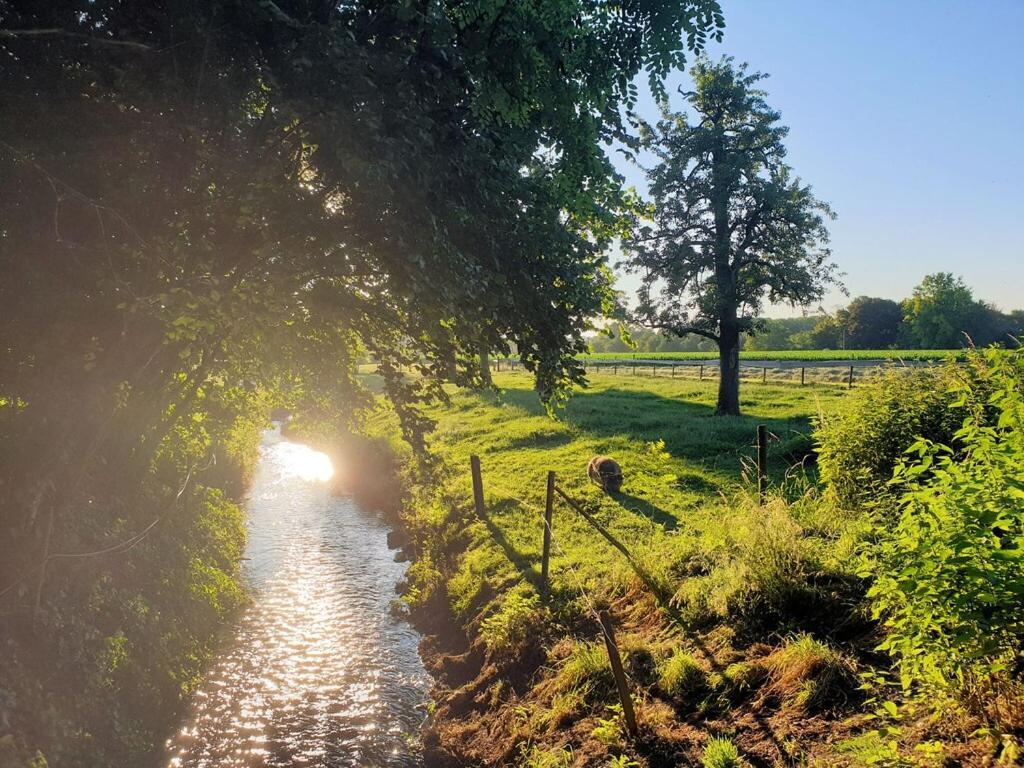 Апартаменти Located 10Km From Maastricht The Belgium Border Ейсден Екстер'єр фото